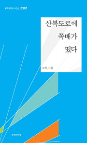 산복도로에 쪽배가 떳다(문학의전당 시인선 301)