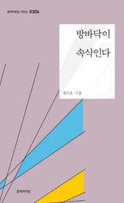 방바닥이 속삭인다(문학의전당 시인선 306)