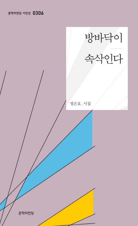 방바닥이 속삭인다(문학의전당 시인선 306)