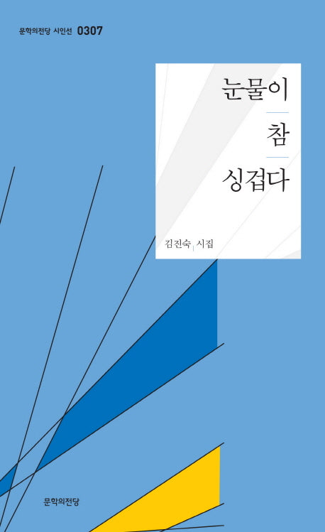 눈물이 참 싱겁다(문학의전당 시인선 307)