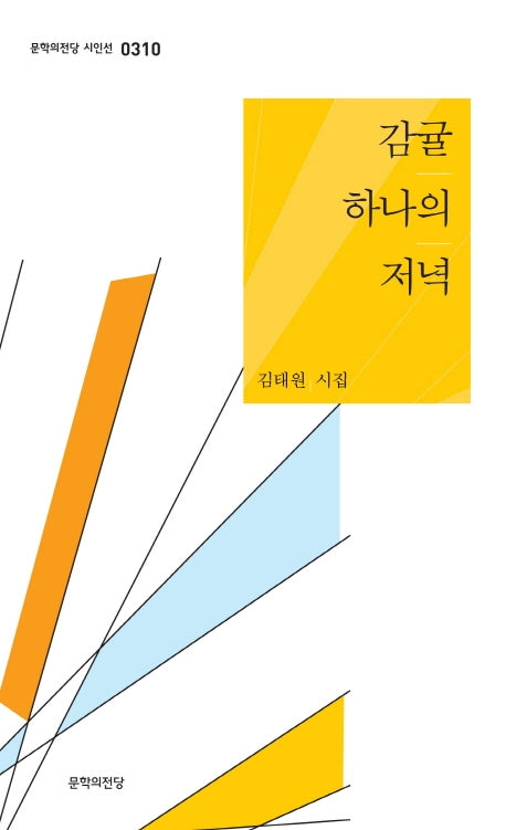 감귤 하나의 저녁(문학의전당 시인선 310)