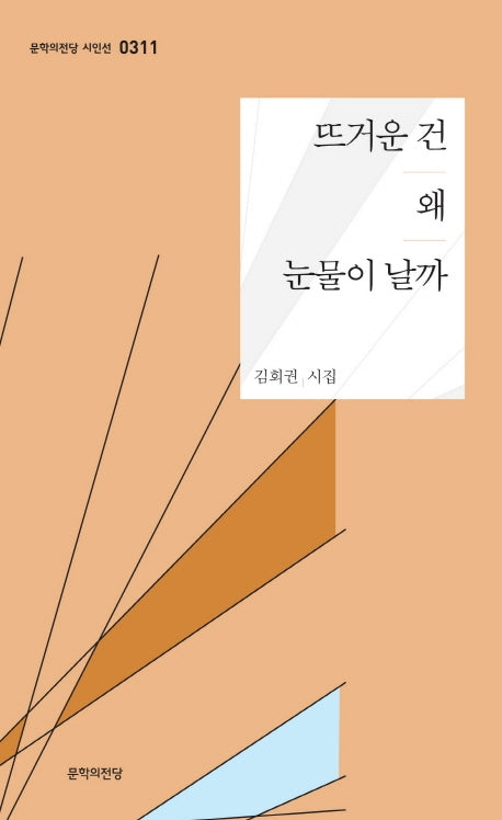 뜨거운 건 왜 눈물이 날까(문학의전당 시인선 311)