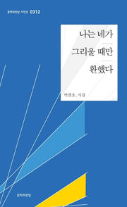 나는 네가 그리울 때만 환했다(문학의전당 시인선 312)