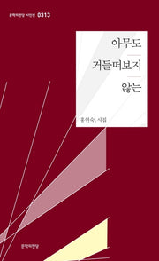 아무도 거들떠보지 않는(문학의전당 시인선 313)