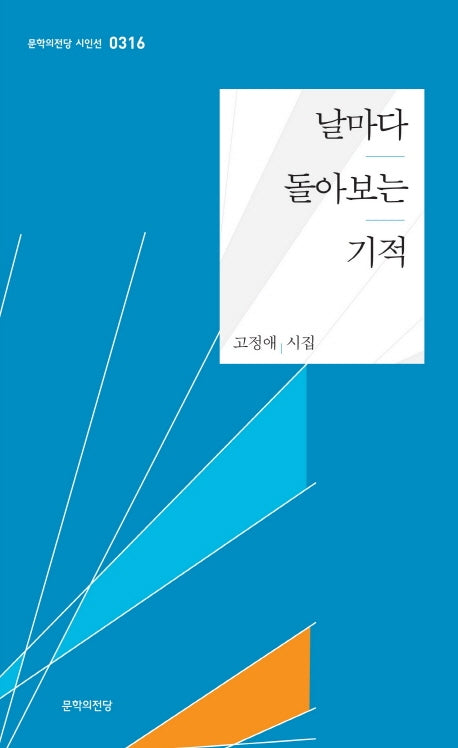 날마다 돌아보는 기적(문학의전당 시인서 316)