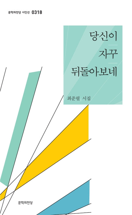 당신이 자꾸 뒤돌아보네(문학의 전당 시인선 318)