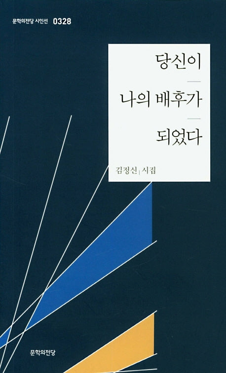 당신이 나의 배후가 되었다(문학의전당 시인선 328)