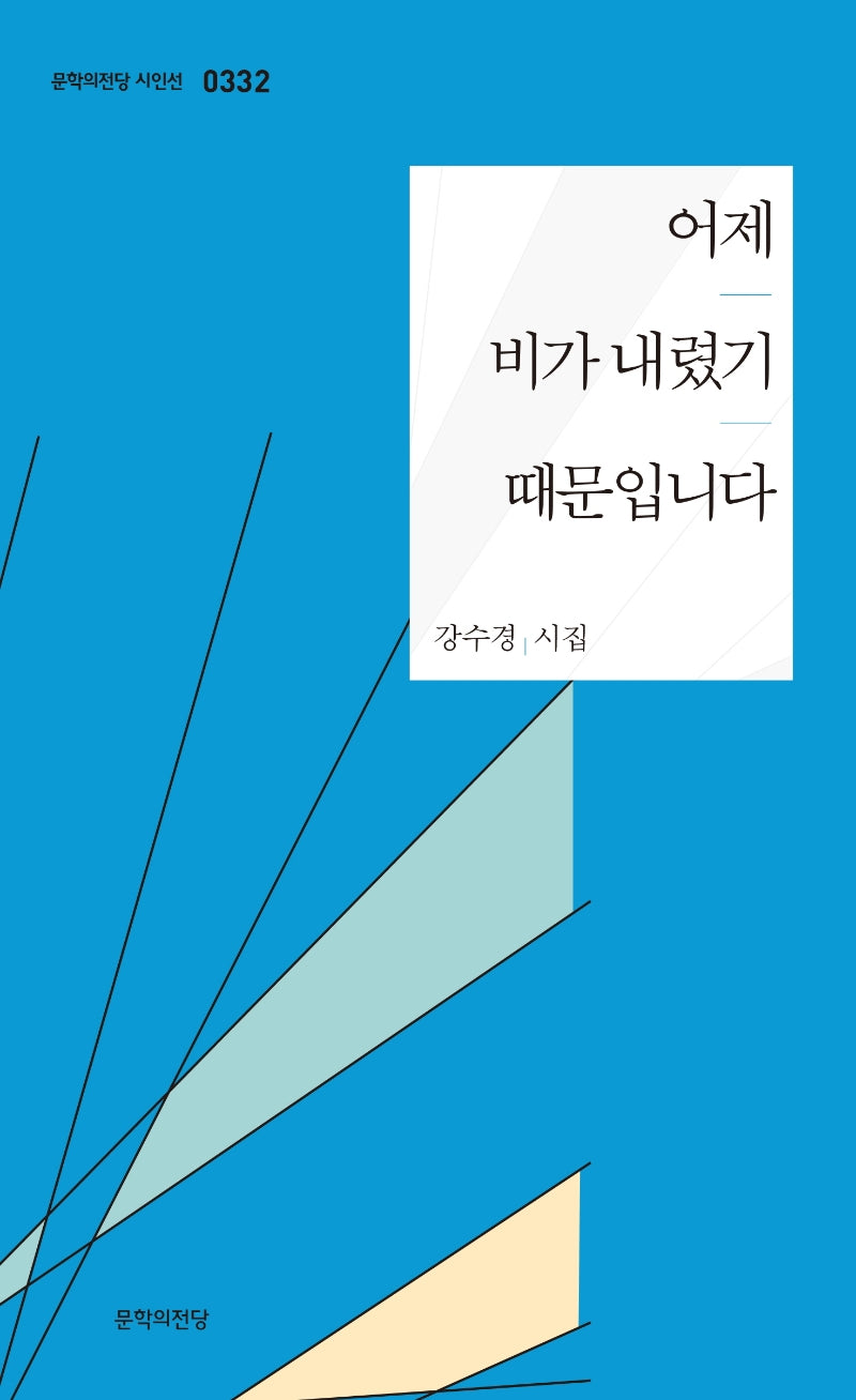 어제 비가 내렸기 때문입니다(문학의전당 시인선 332)