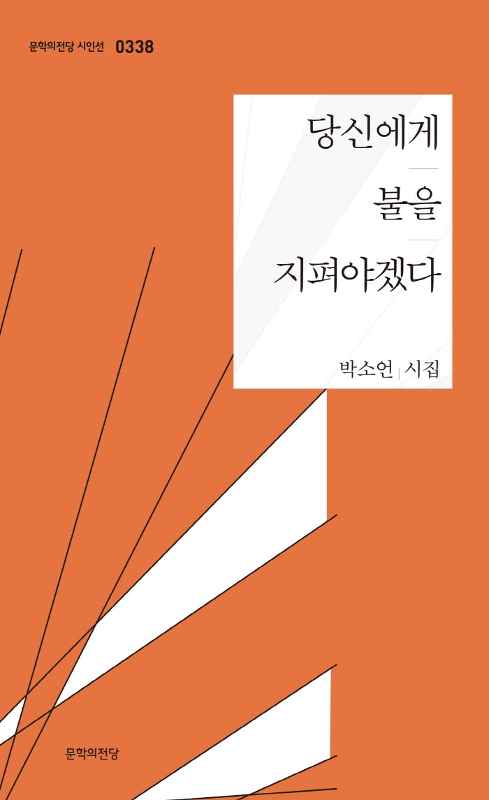 당신에게 불을 지펴야겠다(문학의전당 시인선 338)