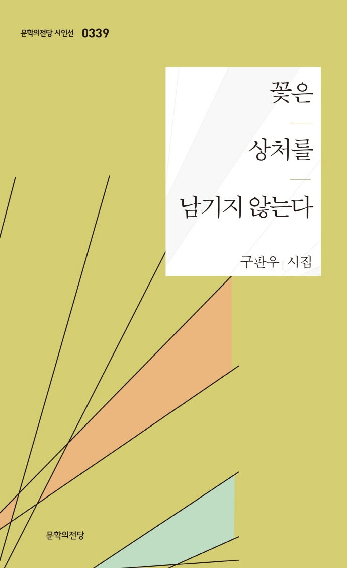 꽃은 상처를 남기지 않는다(문학의전당 시인선 339)