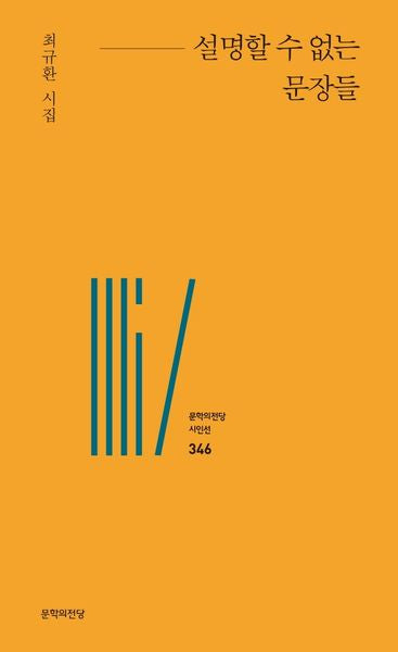 설명할 수 없는 문장들(문학의전당 시인선 346)