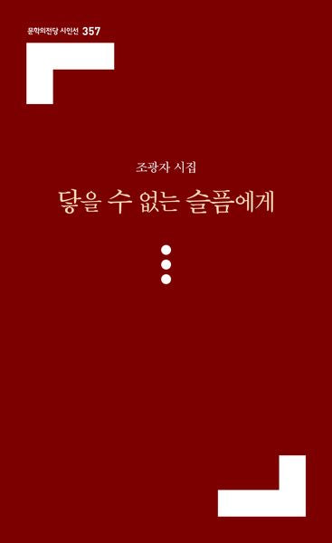 닿을 수 없는 슬픔에게(문학의전당 시인선 357)