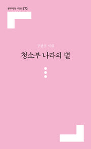 청소부 나라의 별(문학의전당 시인선 373)