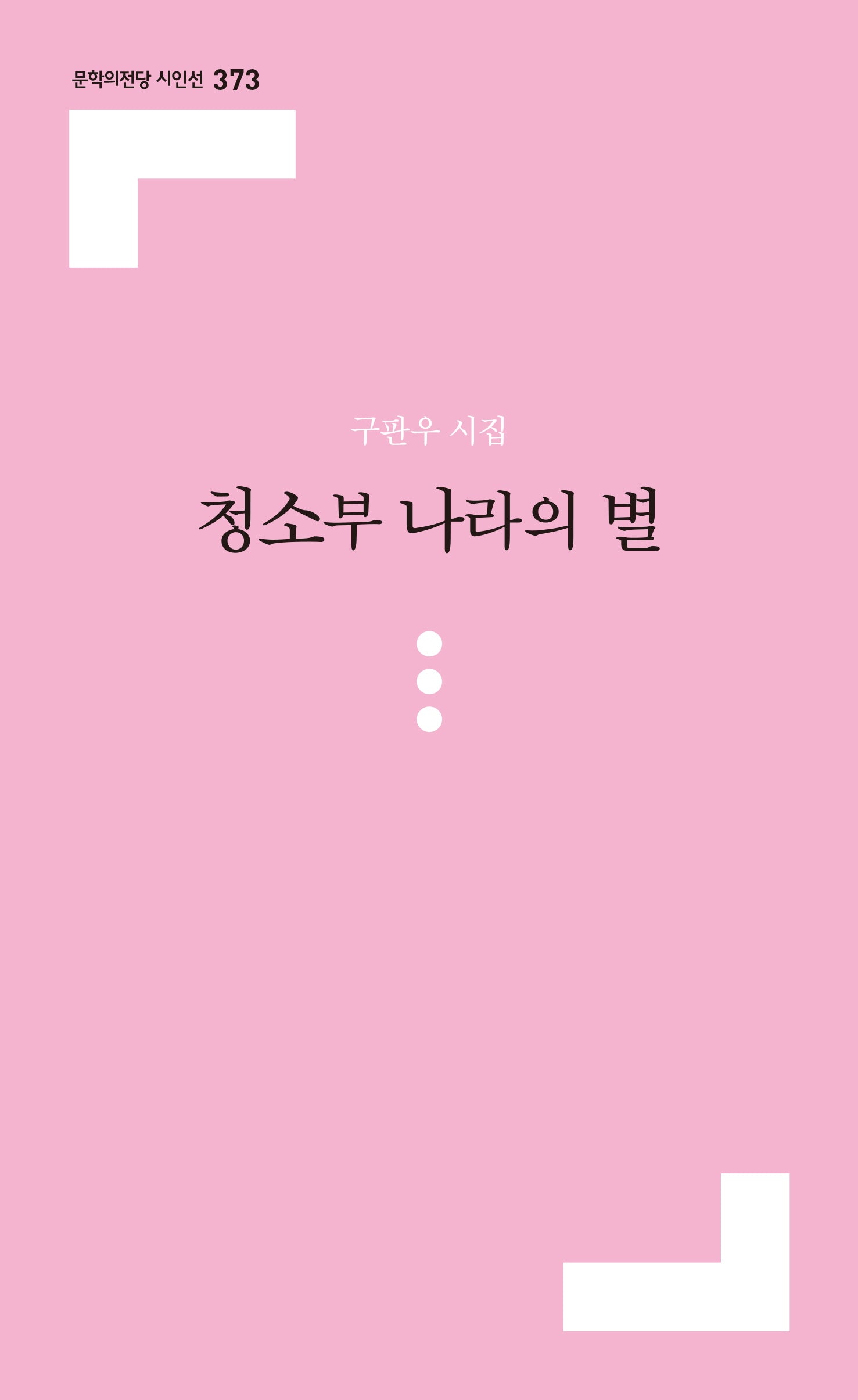 청소부 나라의 별(문학의전당 시인선 373)