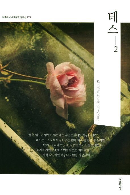 테스 2(더클래식 도네이션 세계문학 컬렉션 75)