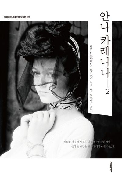 안나 카레니나 2(더클래식 세계문학 컬렉션 22)