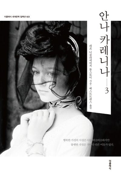 안나 카레니나 3(더클래식 세계문학 컬렉션 23)