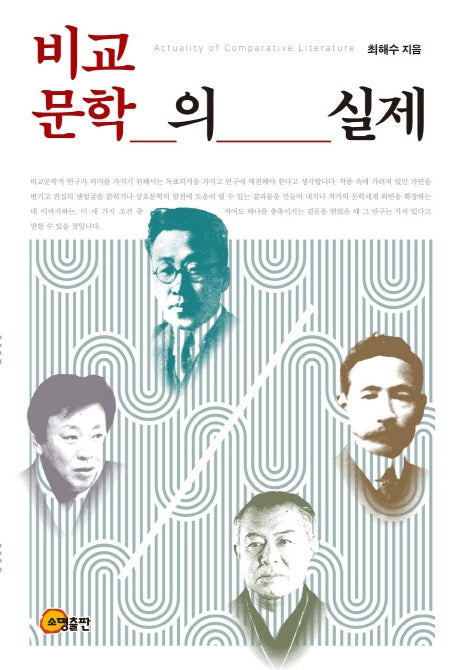 비교 문학의 실제(반양장)