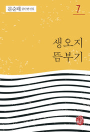 생오지 뜸부기(문순태 중단편선집 7)(반양장)