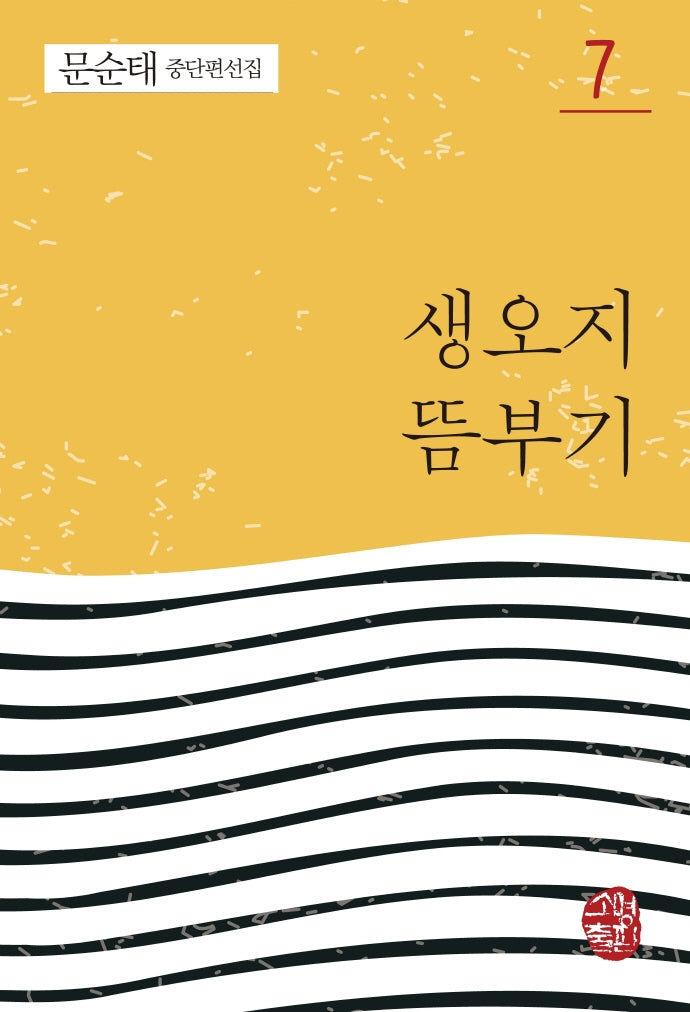생오지 뜸부기(문순태 중단편선집 7)(반양장)