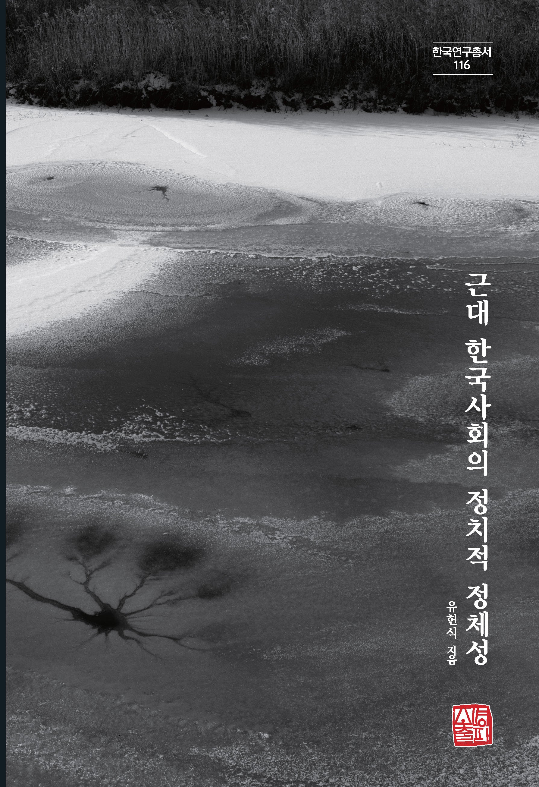 근대 한국사회의 정치적 정체성(한국연구총서 116)(양장본 Hardcover)