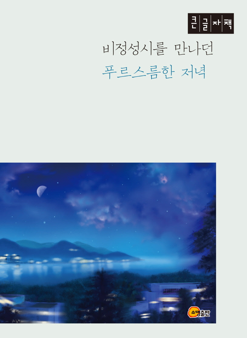 비정성시를 만나던 푸르스름한 저녁(큰글자책)