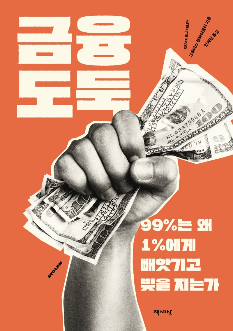 금융 도둑