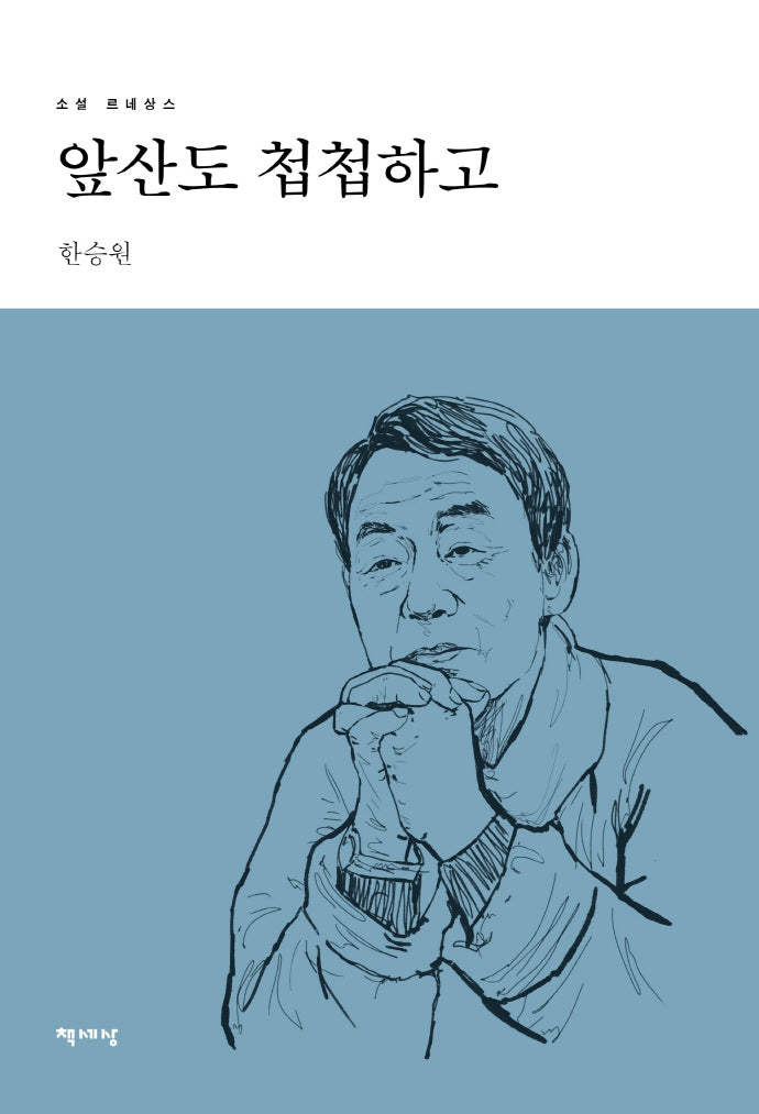 앞산도 첩첩하고(리커버)(소설 르네상스)
