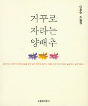 거꾸로 자라는 양배추