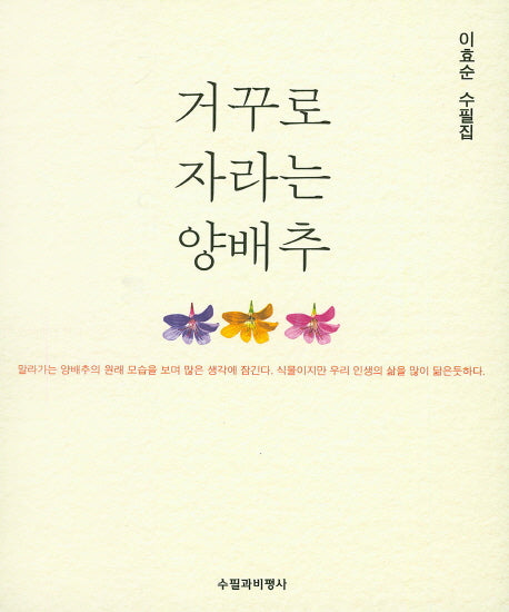 거꾸로 자라는 양배추