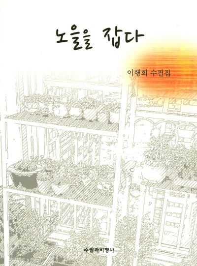 노을을 잡다