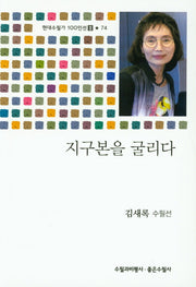 지구본을 굴리다(현대수필가 100인선 2 74)