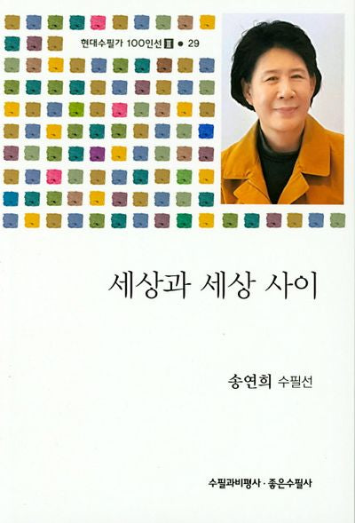 세상과 세상 사이(현대수필가 100인선 2 29)