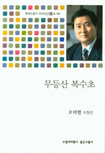 무등산 복수초(현대수필가 100인선 2 89)
