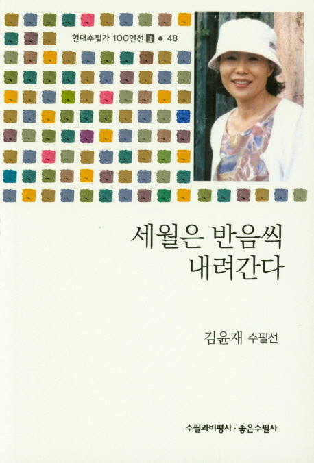 세월은 반음씩 내려간다(현대수필가 100인선 2 48)