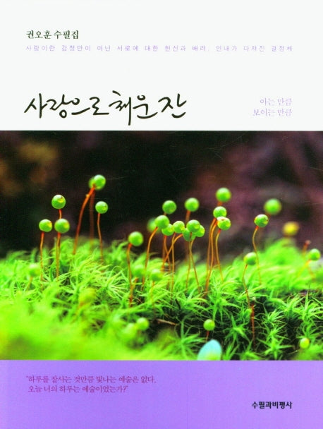 사랑으로 채운 잔