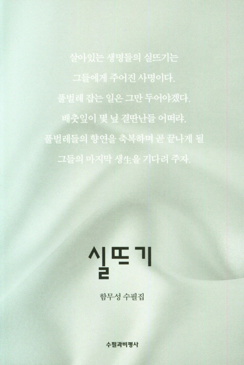 실뜨기