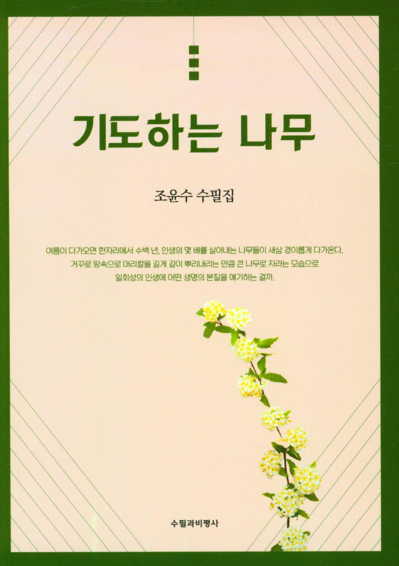 기도하는 나무