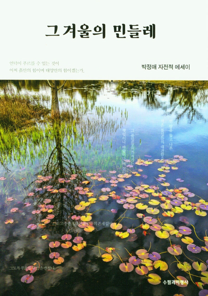 그 겨울의 민들레