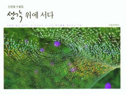 생각위에 서다