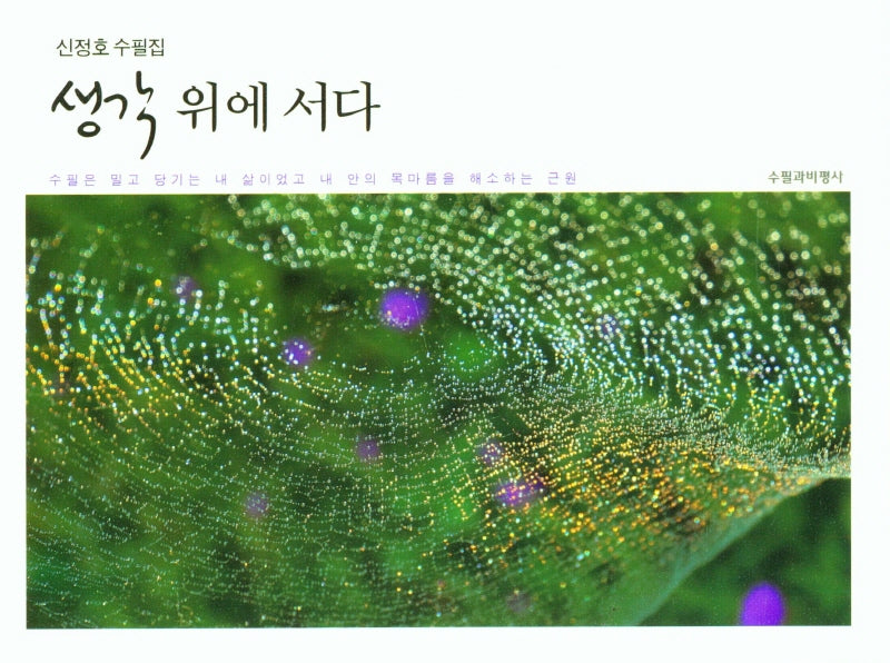 생각위에 서다