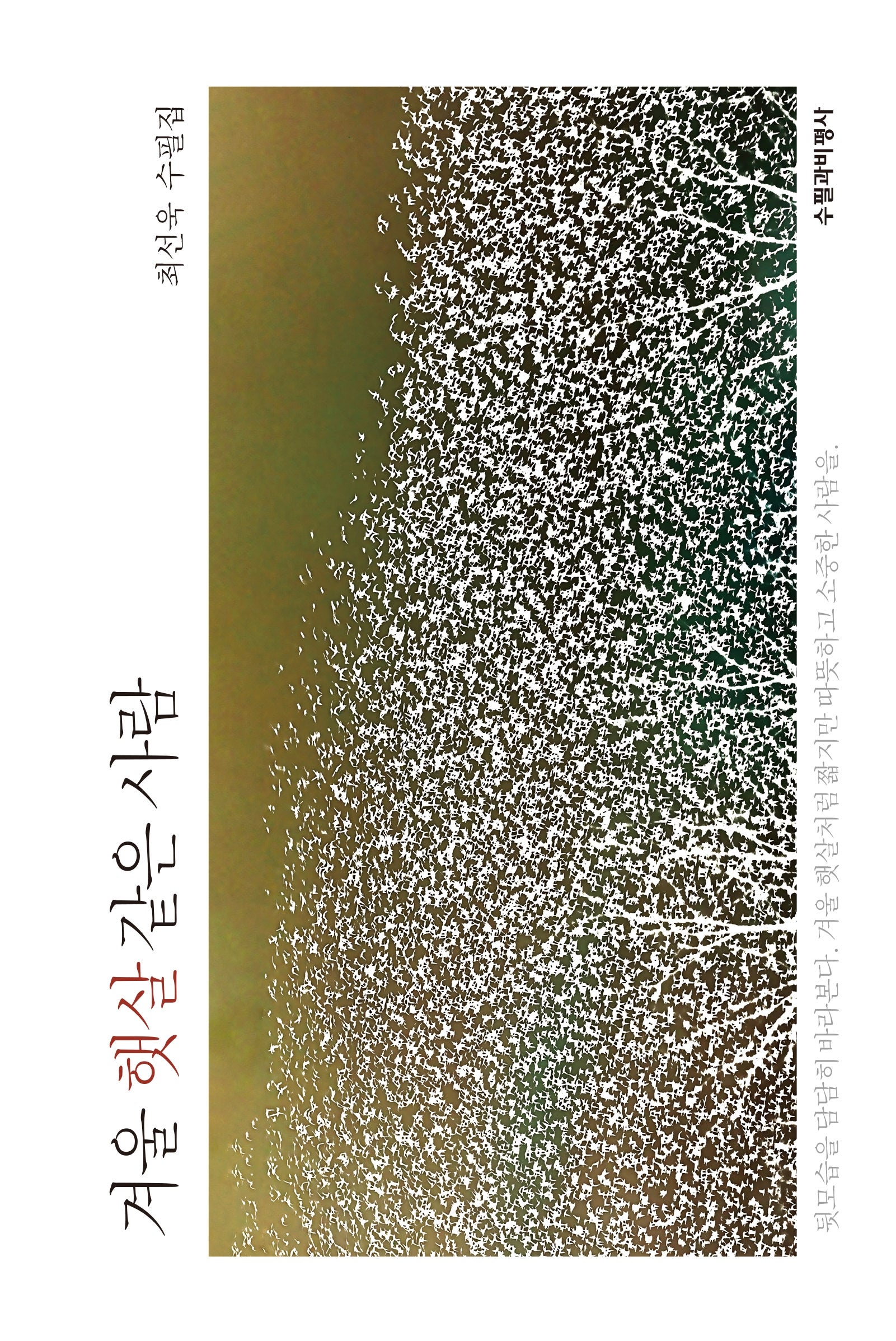 겨울 햇살 같은 사람