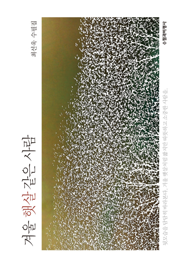 겨울 햇살 같은 사람