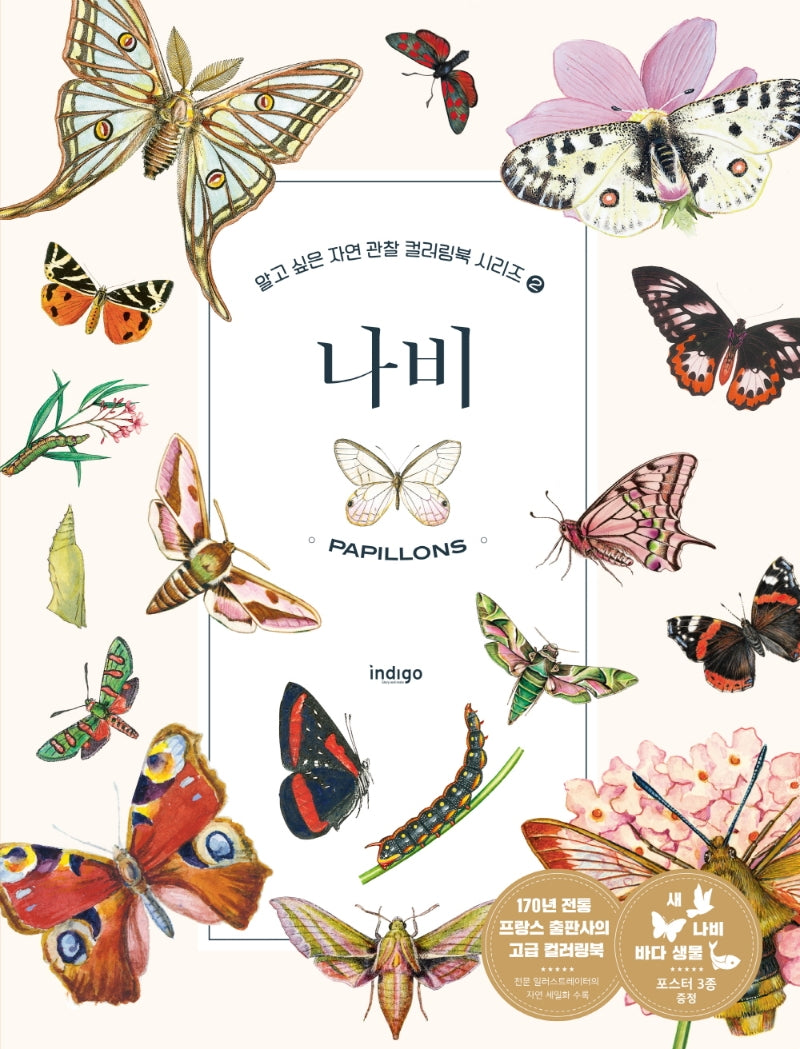 나비(알고 싶은 자연 관찰 컬러링북 시리즈 2)