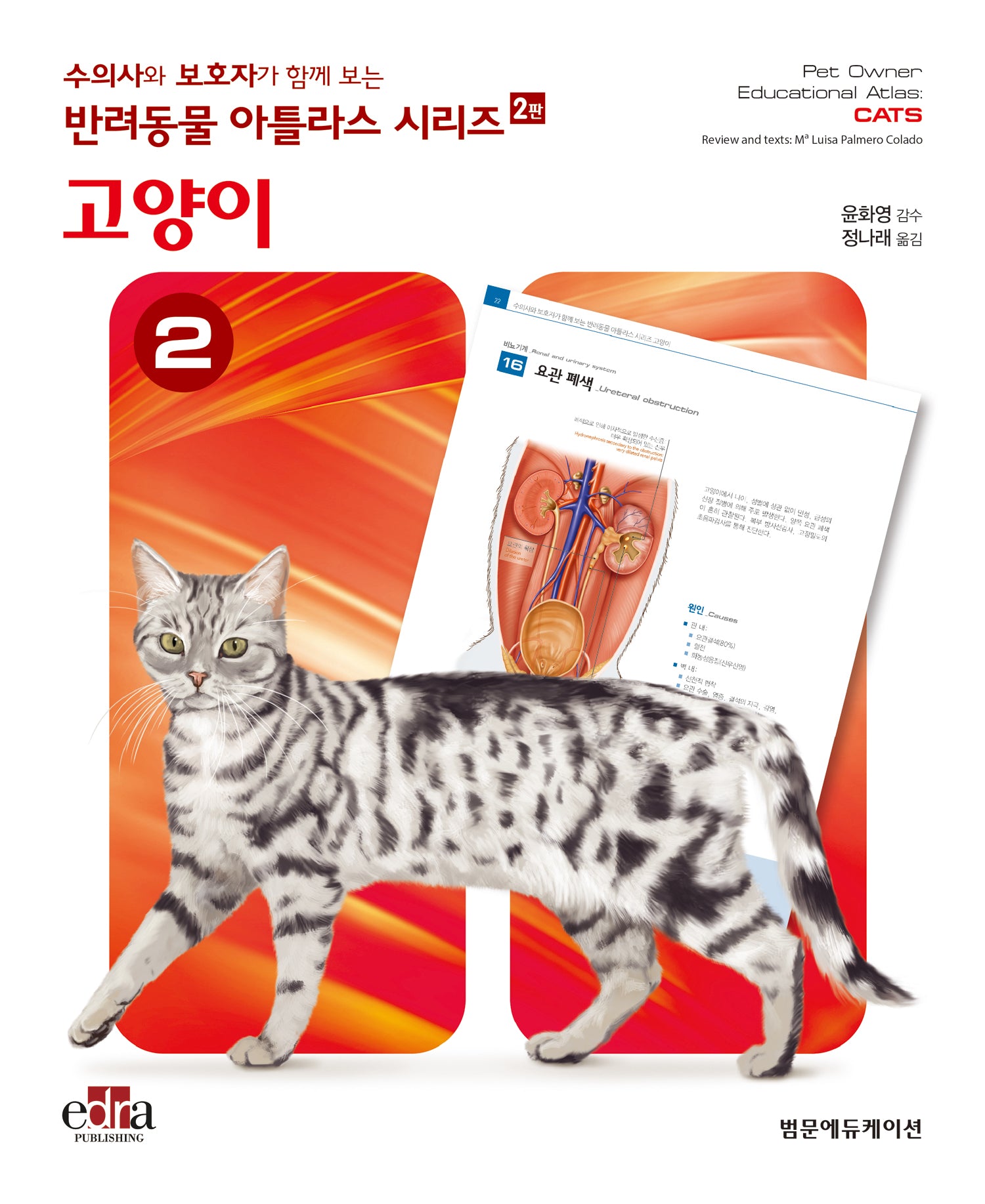 고양이(수의사와 보호자가 함께 보는 반려동물 아틀라스 시리즈)