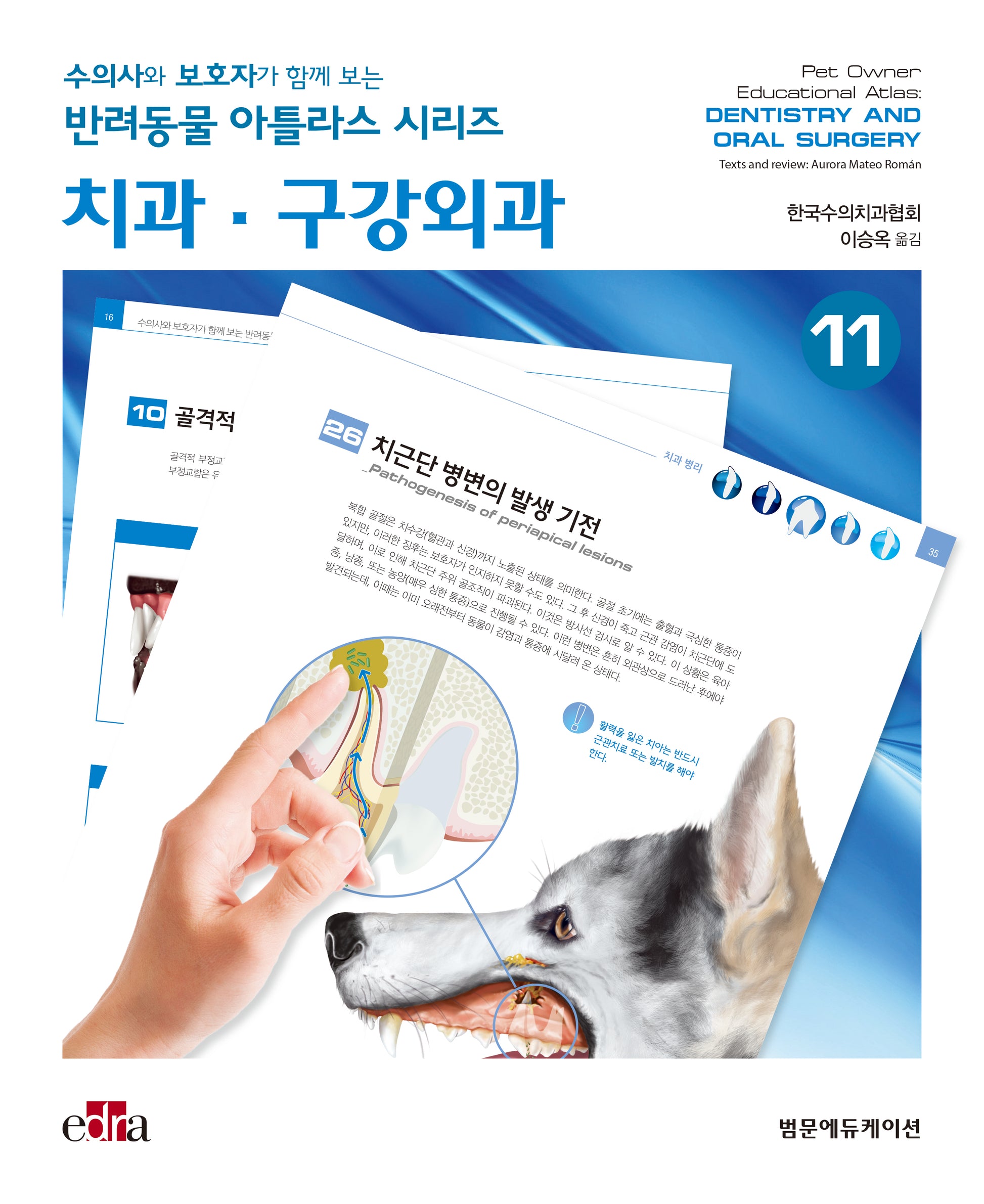 치과·구강외과(수의사와 보호자가 함께 보는 반려동물 아틀라스 시리즈)(양장본 Hardcover)