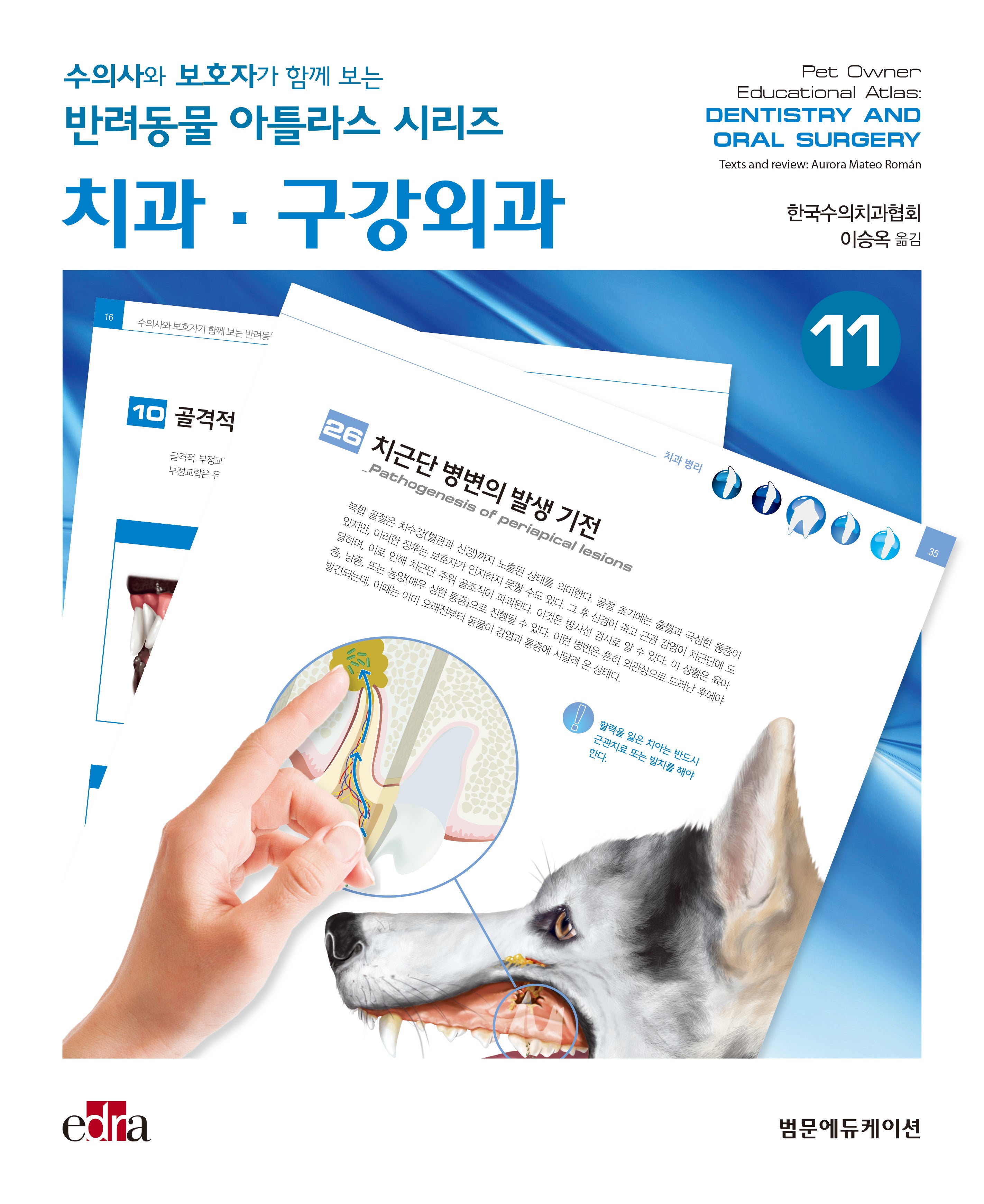 치과·구강외과(수의사와 보호자가 함께 보는 반려동물 아틀라스 시리즈)(양장본 Hardcover)