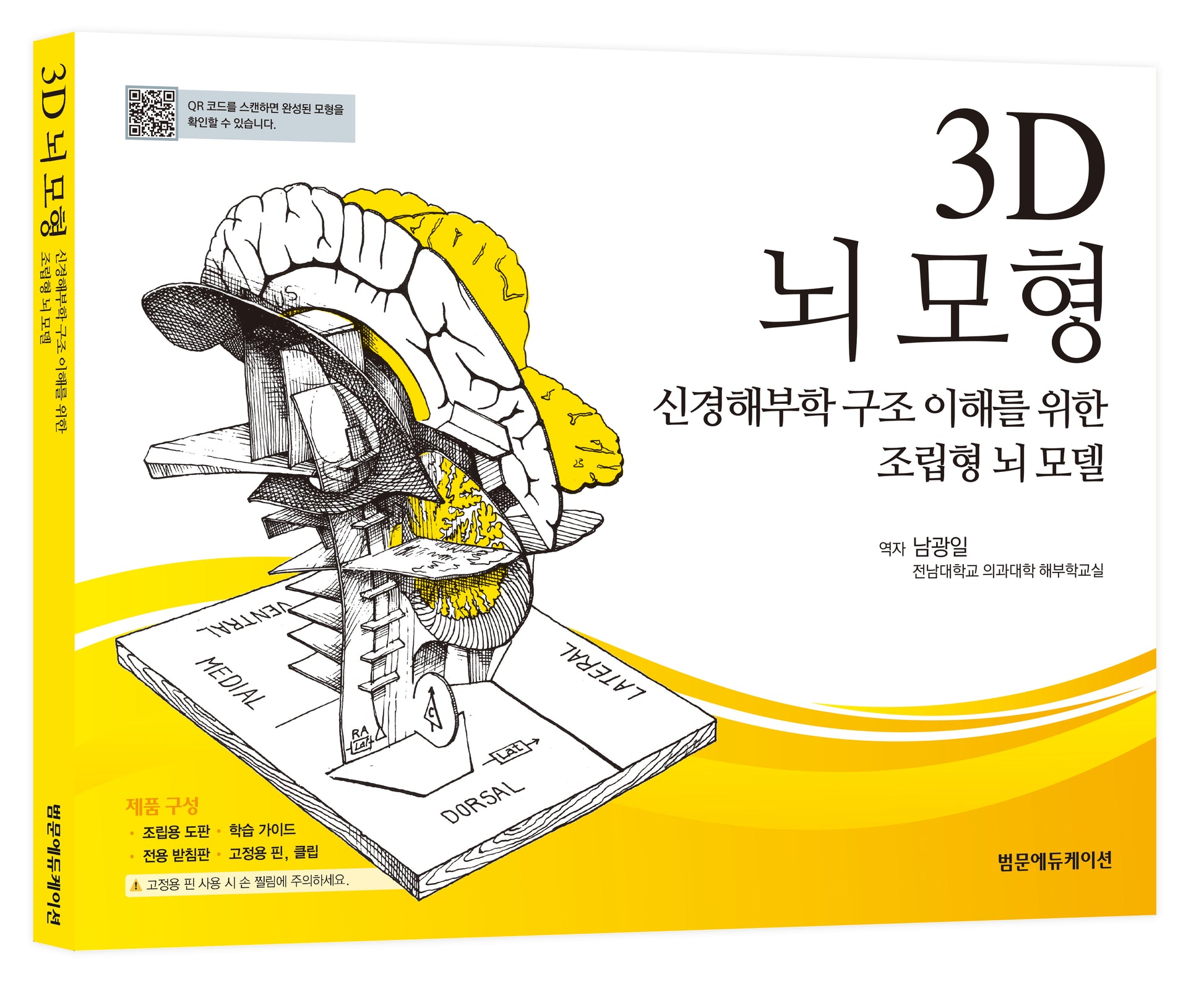 3D 뇌 모형