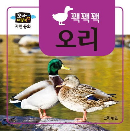 오리(꽥꽥꽥)(꼬마지팡이 자연 동화)(보드북)