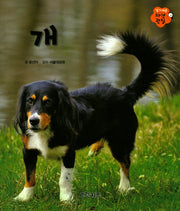 개(알기쉬운 자연관찰 11)(양장본 HardCover)